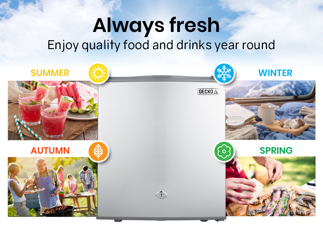 GECKO 57L Portable Upright Bar Fridge Refrigerator 12V/24V/240V